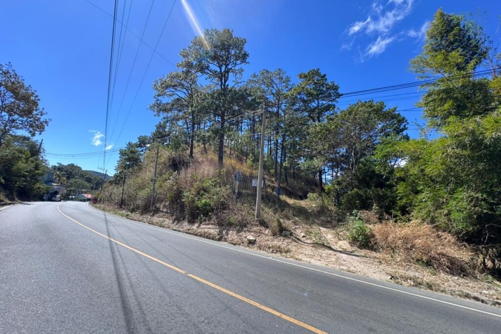 Terrenos en La Palma